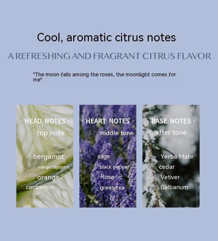 Aromatic Citrus Perfume - Perfume Duradero con Fragancia Cítrica